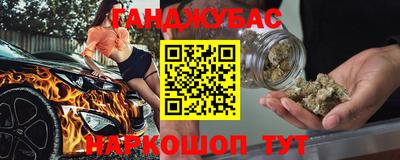 прущие грибы Абакан