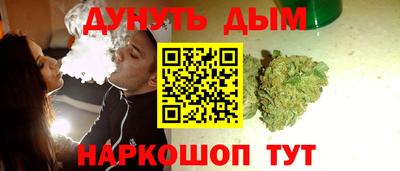 прущие грибы Абакан