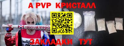 прущие грибы Абакан