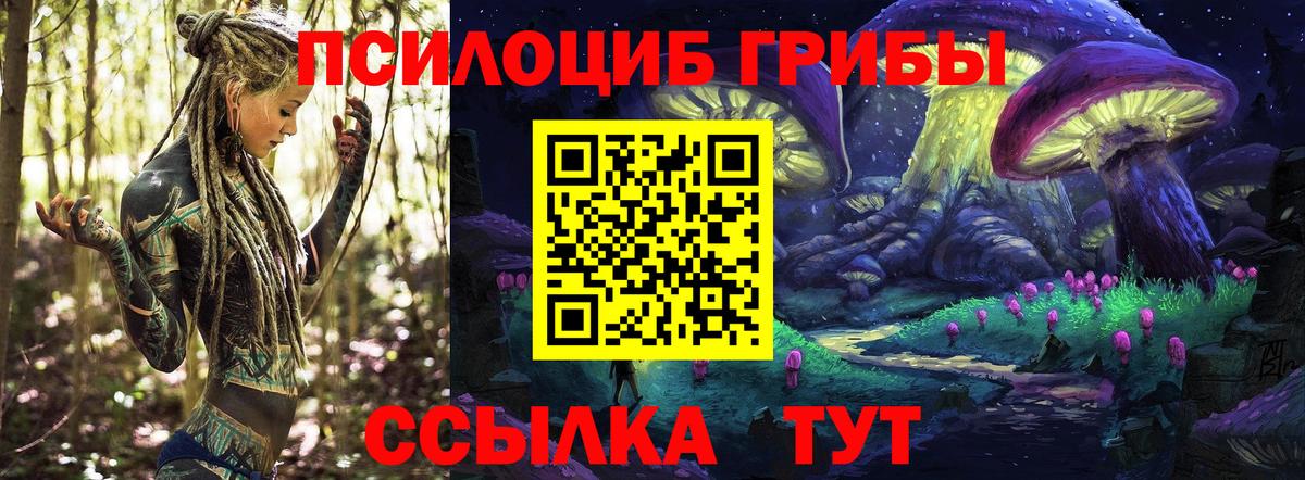 Амурск  Галлюциногенные грибы Psilocybine cubensis  Вход с VPN 