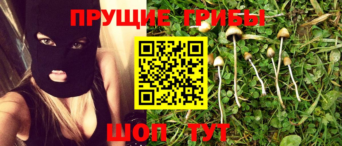 Галлюциногенные грибы Magic Shrooms Амурск